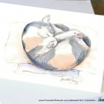 Peaches' Nap Spot Fine Art Card