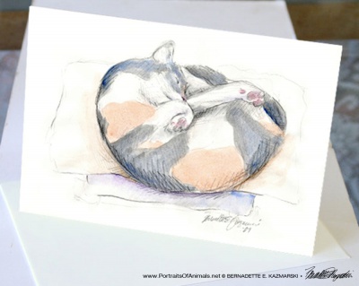 Peaches' Nap Spot Fine Art Card