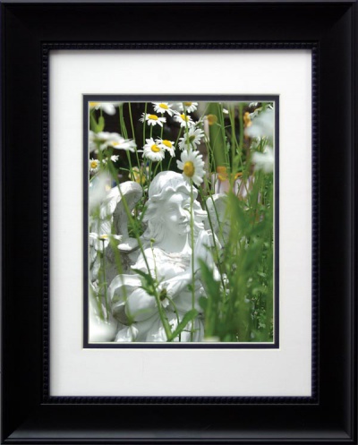 "Angel Daisies", framed.