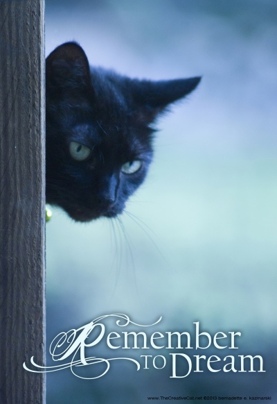 Remember to Dream