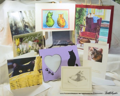 April 2017 Feline Sampler Box: Welcome Spring!