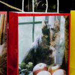 How Do You Like Them Apples? Gift Bag