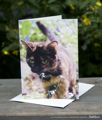 Kelly in Forget-me-Nots Feline Photo Card.