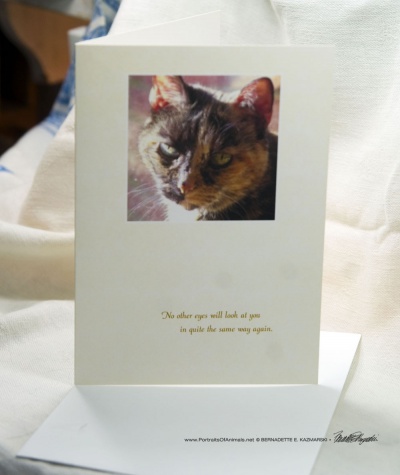 Cookie Looks at Me Animal Sympathy Card