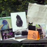 May 2017 Feline Sampler Box