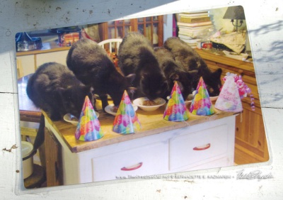 Happy Birthday! placemat