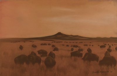 "Shadow of Bison ", pastel on 26.5" x 17.5" on Hahnemuhle sanded watercolor paper.