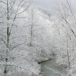 Frosted