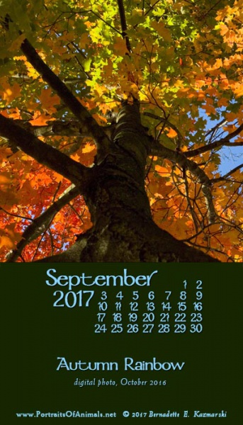 Desktop calendar, for 400 x 712 for mobile phones.