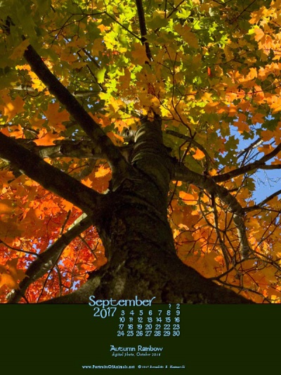 Desktop calendar, 600 x 800 for iPad, Kindle and other readers.
