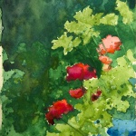 Geraniums and Parsley (uncropped), watercolor, 6 x 9 © Bernadette E. Kazmarski