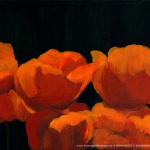 Poppies, acrylic, 8 x 11 © Bernadette E. Kazmarski