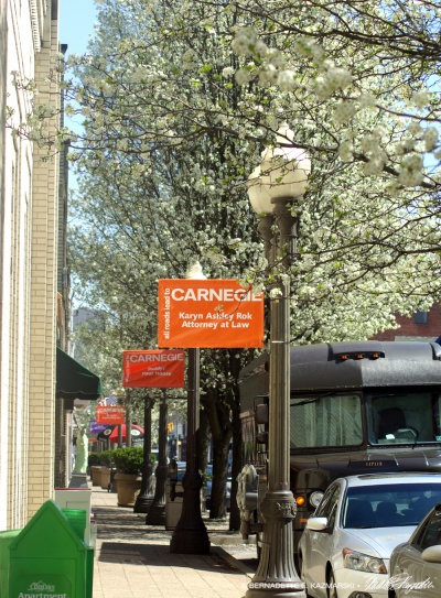 Banners and Flowers