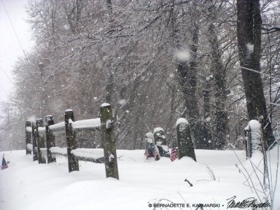 Softly Falling Snow