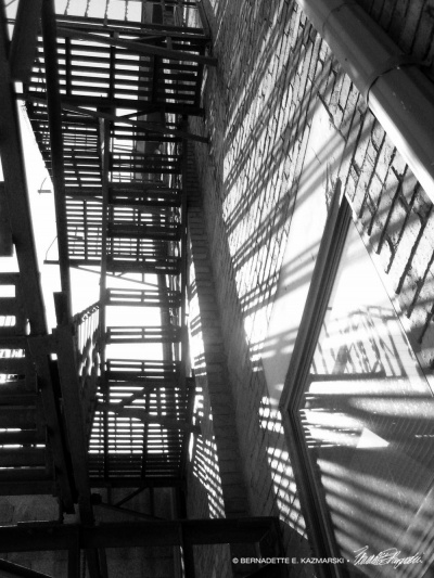 Tangled Shadows