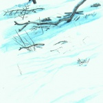 The Fal;len Branch
