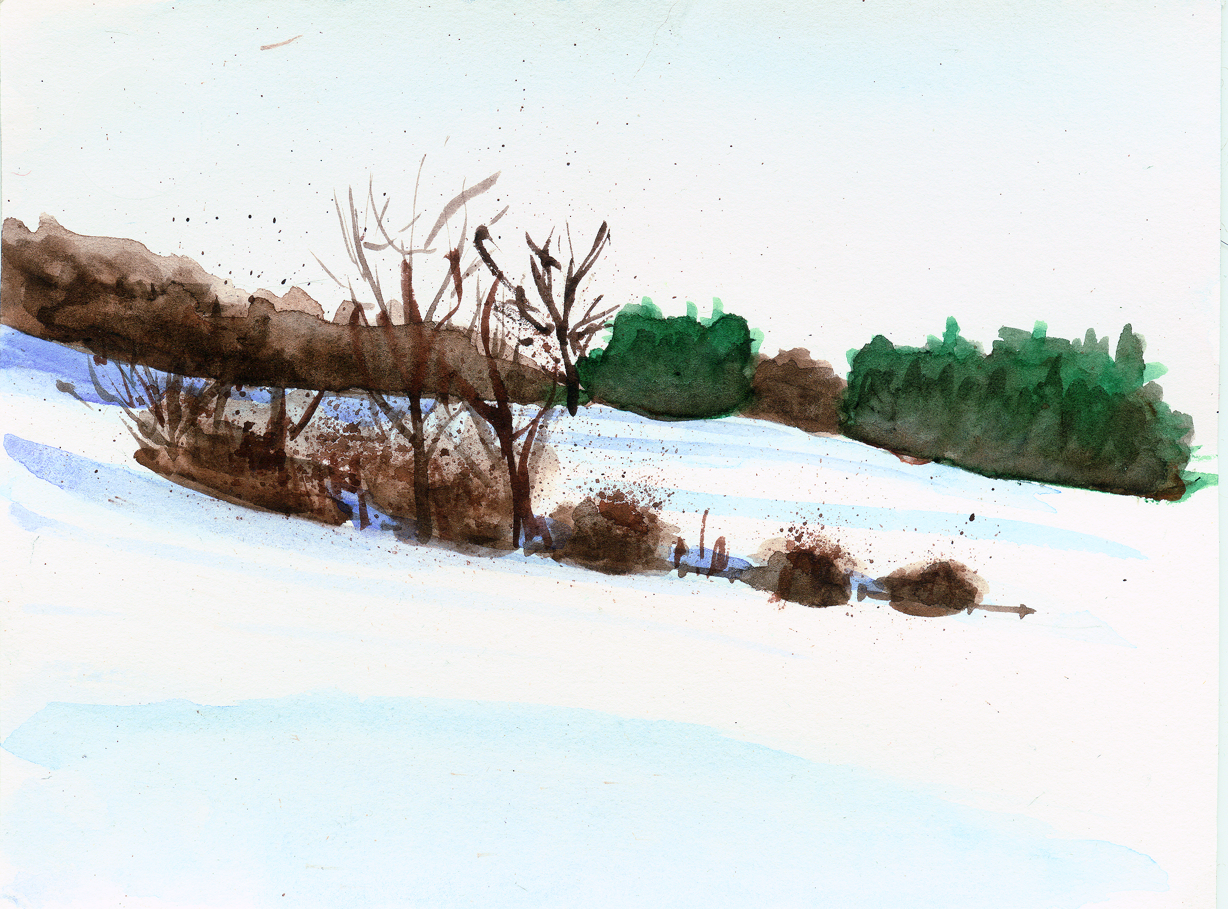 First Shadows of Evening