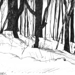 Light Woods, ink, 5 x 7, 2000 © Bernadette E. Kazmarski