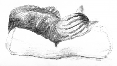 "Stripes", pencil, 8" x 5", 2002 © Bernadette E. Kazmarski