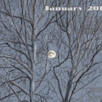 Desktop calendar, 1280 x 1024 for square and laptop monitors.