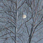 "Sycamore Moon", pastel, 14" x 20" © Bernadette E. Kazmarski