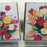 Tulip Keepsakes