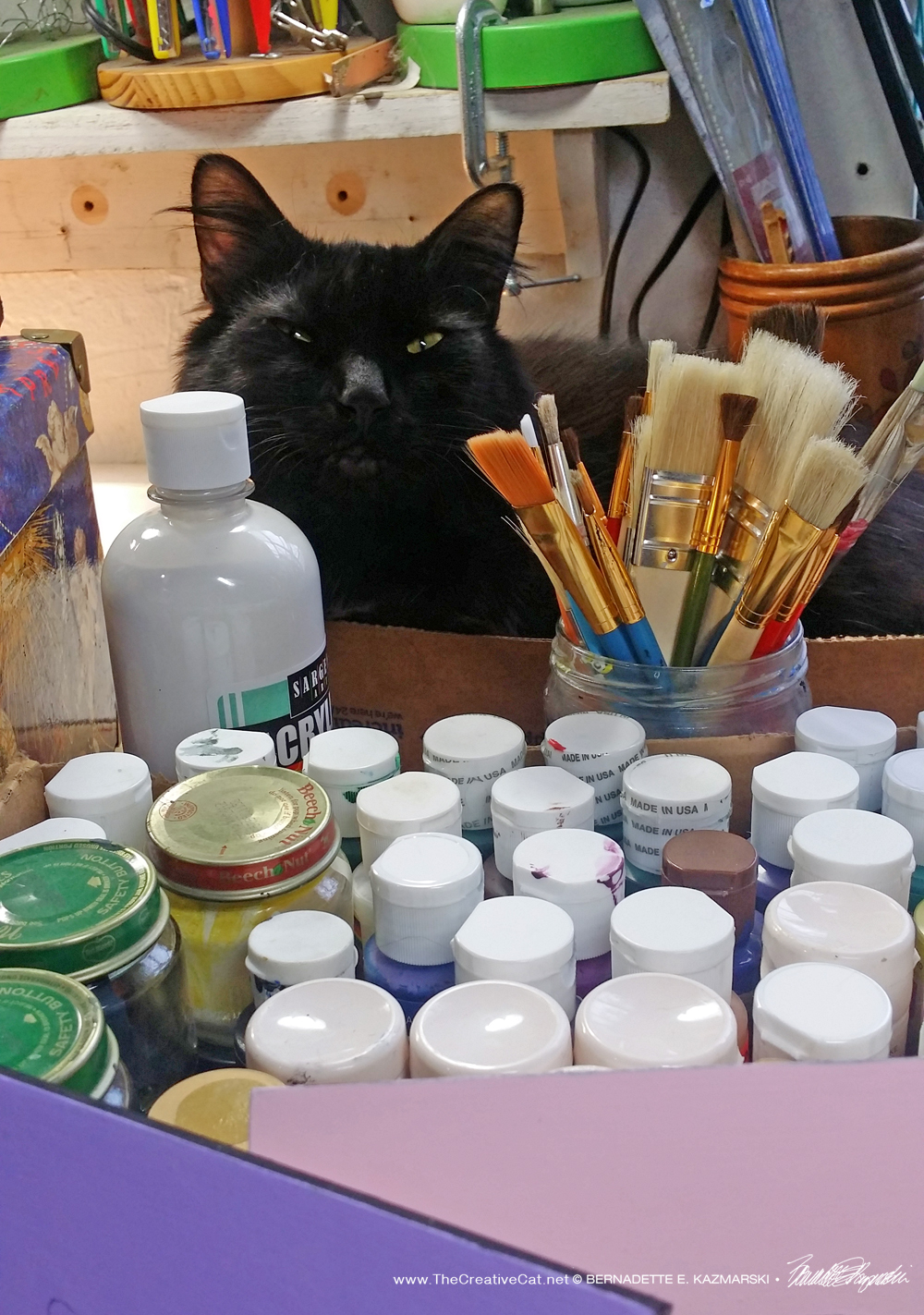 Basil is sleeping on the job.