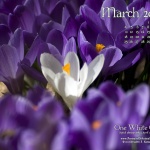 Desktop calendar, 1280 x 1024 for square and laptop monitors.