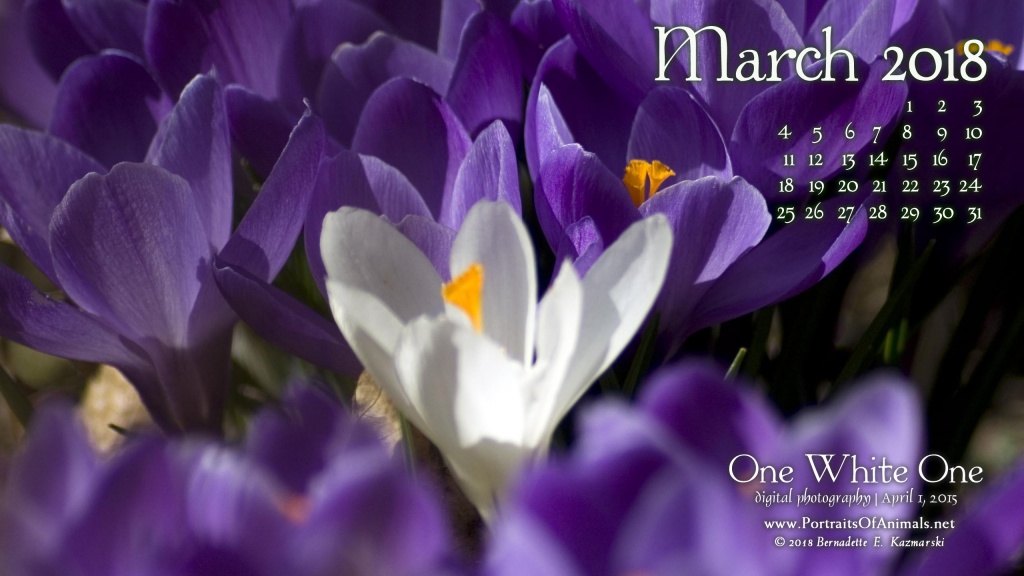 Desktop calendar 2560 x 1440 for HD and wide screens.