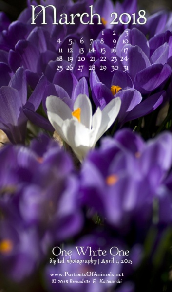 Desktop calendar, for 400 x 712 for mobile phones.