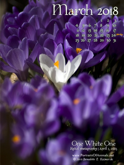 Desktop calendar, 600 x 800 for iPad, Kindle and other readers.