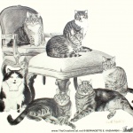 Igor, Matthew, Zoe, Biscotti, Angel, Noah and Toast, 18 x 24, pencil, 2005 © Bernadette E. Kazmarski