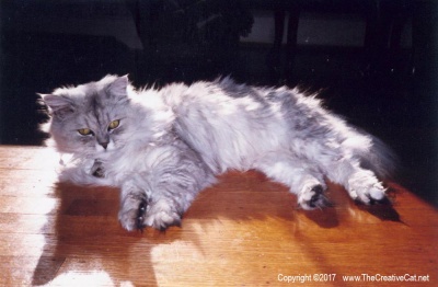 Bullwinkle on the floor.
