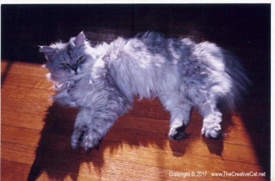 Bullwinkle on the floor.