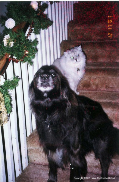 Rocky and Bullwinkle on the steps.