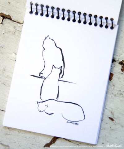 Arrangement of Three Cats