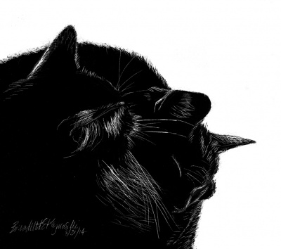 "Black and Light", scratchboard, 8 x 8 © Bernadette E. Kazmarski