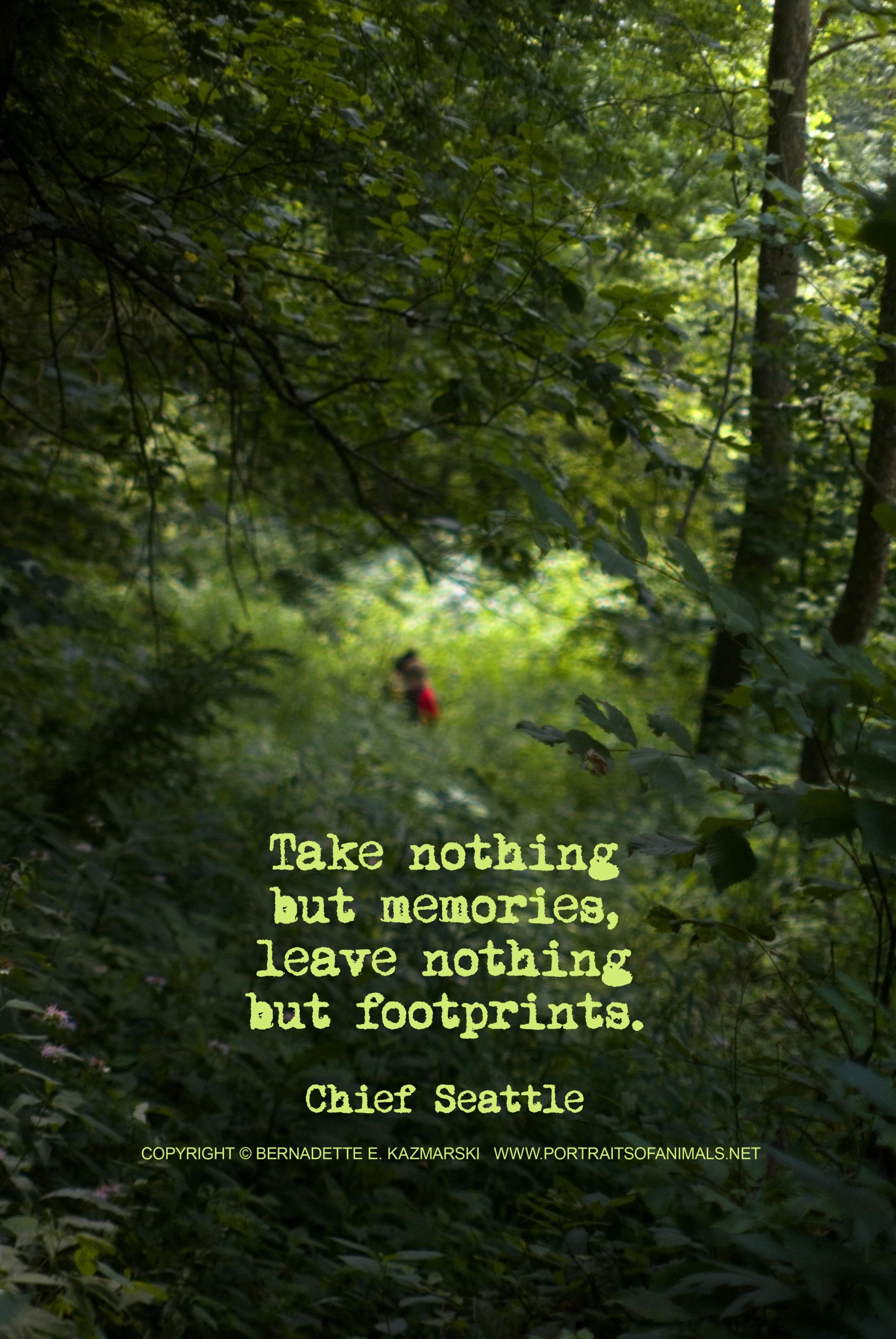 Photo Quote: Discovery