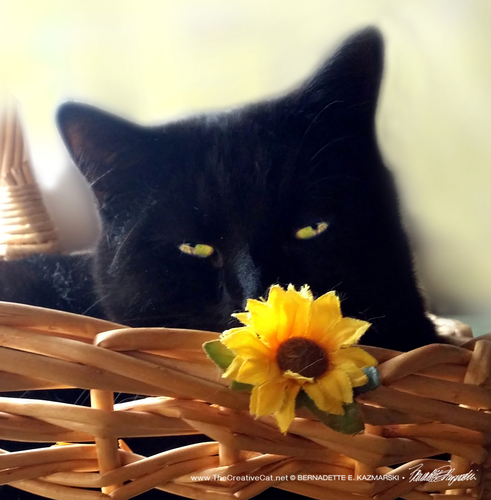 Flower Child