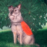 “Corky”, pastel, 14 x 20 © Bernadette E. Kazmarski
