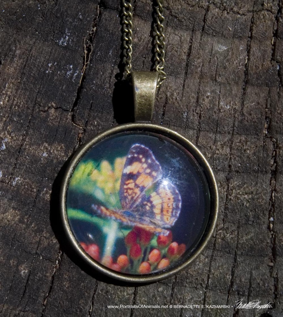 Cabochon Pendant, Silvery Checkerspot on Butterfly Weed