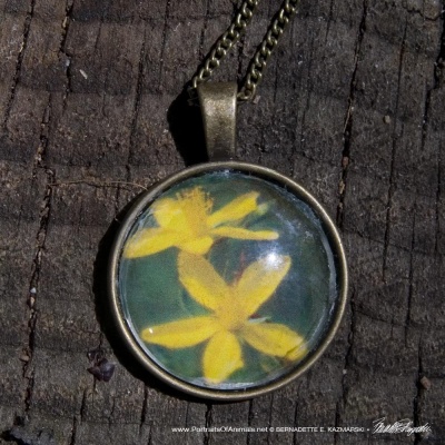 Cabochon Pendant, St. John's Wort