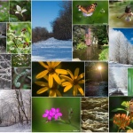 Photos for Seasons Along the Panhandle Trail