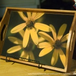 Three Sunflowers Tray