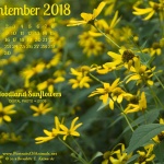 Desktop calendar, 1280 x 1024 for square and laptop monitors.