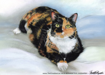 commissioned pastel cat portrait