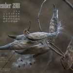 Desktop calendar, 1280 x 1024 for square and laptop monitors.