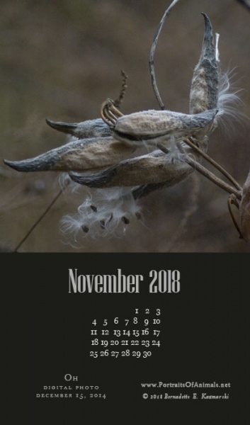 Desktop calendar, for 400 x 712 for mobile phones.