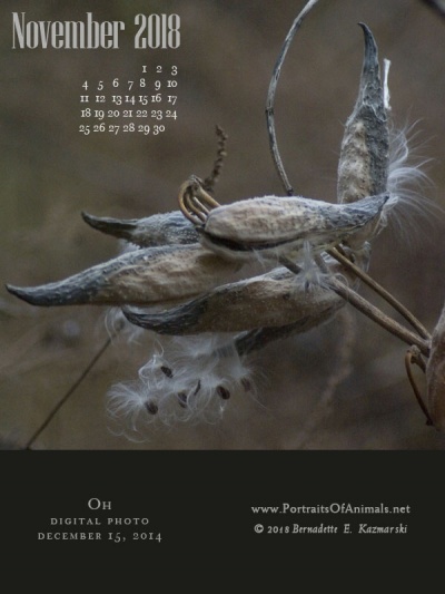 Desktop calendar, 600 x 800 for large mobile devices and tablets