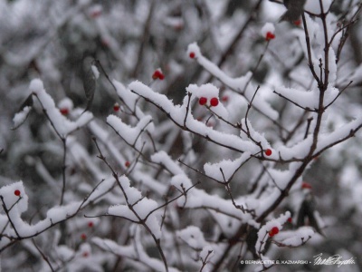 More tiny ornaments.